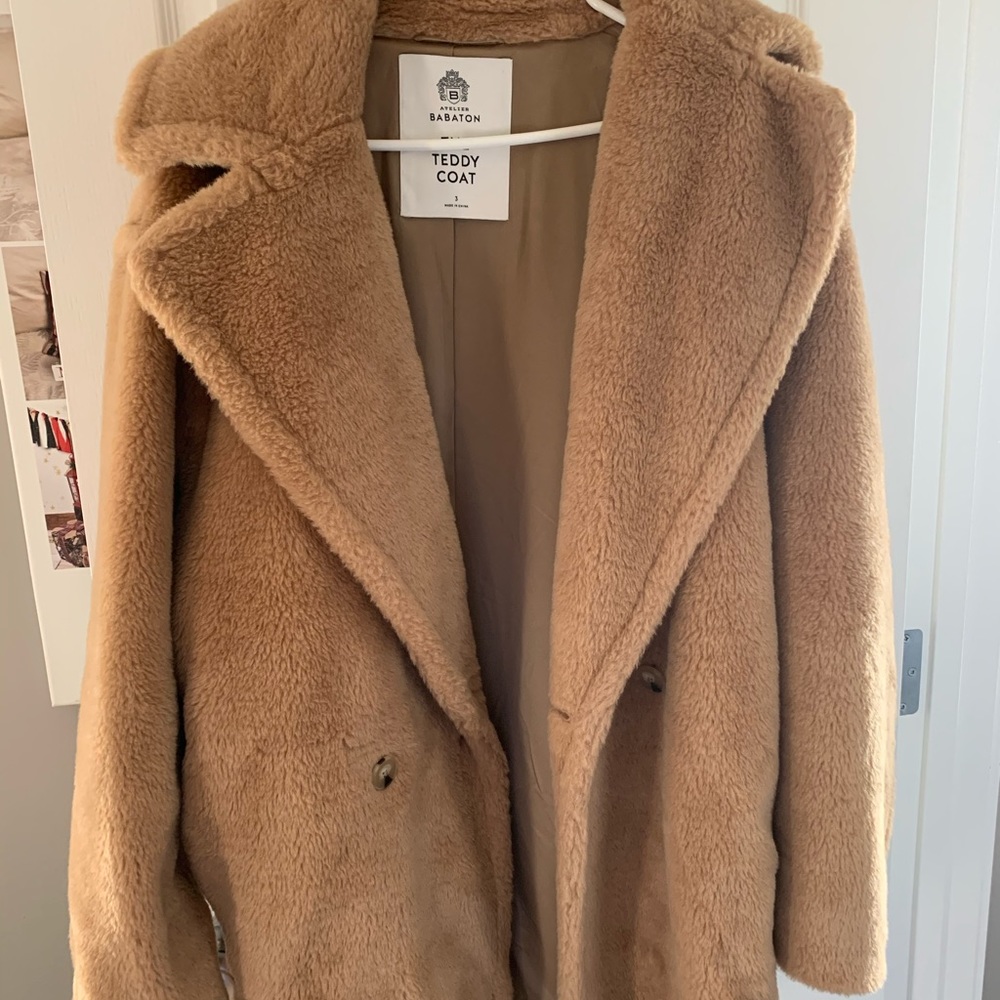 Aritzia Babaton Teddy Coat (Short version)